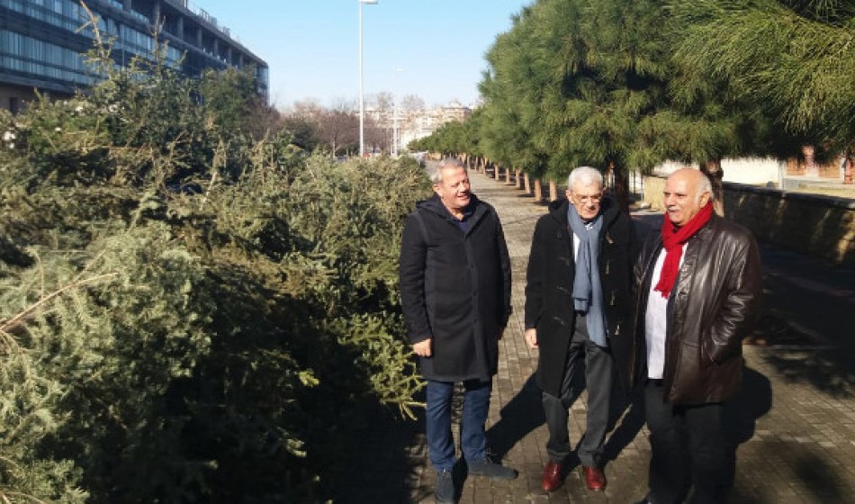Η Θεσσαλονίκη ανακυκλώνει πρώτη τα χριστουγεννιάτικα δέντρα της.